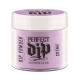 #2600262 Artistic Perfect Dip Coloured Powders " Sorbae All Day " ( Light Purple Crème )  0.8 oz.
